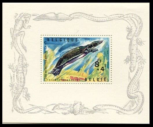 Z_95 1965 Belgium Turtle Marine Life Sheet Mnh Combined Payments&shipping