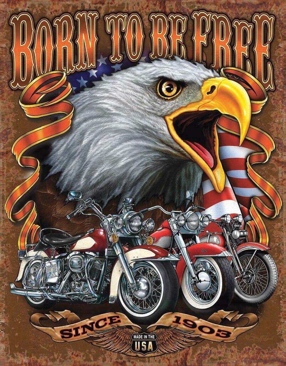 Motorcycle Born To Be Free Classic Collectible Tin Metal Sign 13 X 16in